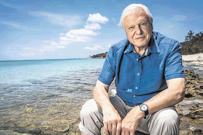 Za  Davida Attenborougha je bil skoraj usoden morski val.