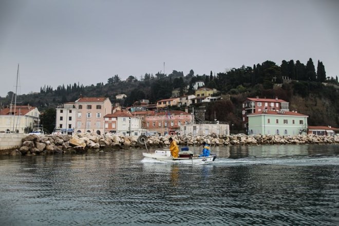 Koprskega ribiča bremenijo nedovoljenega ribolova v Piranskem zalivu in zahtevajo plačilo 28.000 evrov.