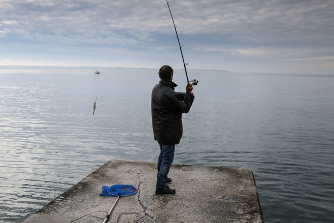 Pritožbe slovenskih ribičev bodo predvidoma od inšpektorata romale na sodišče v Umagu