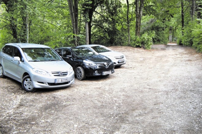 Mnogo z avtomobilom dostopnih mest na Bledu, kakršno je na fotografiji, obiskovalci samovoljno spremenijo v parkirišča.
