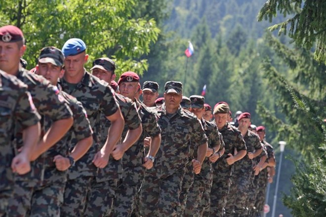 Slovenska vojska talec pomanjkanja politične zrelosti