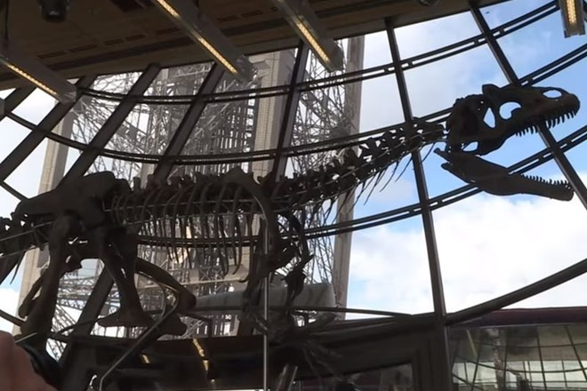 Ocenjujejo, da se bo okostje dinozavra prodalo za najmanj 1,2 do nekje 1,8 milijonov evrov.