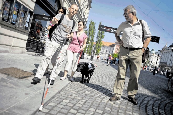 Pes vodnik slepemu sicer ne more nadomestiti vida, omogoči pa mu varnejše in hitrejše gibanje v okolju.