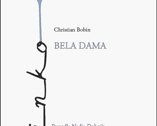 Recenzija romana Bela dama Christiana Bobina: Lestev, ki visi z neba