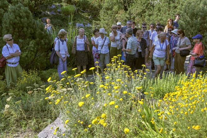 Spletna baza podatkov E-vrt bo  povezala slovenske vrtove z obiskovalci  