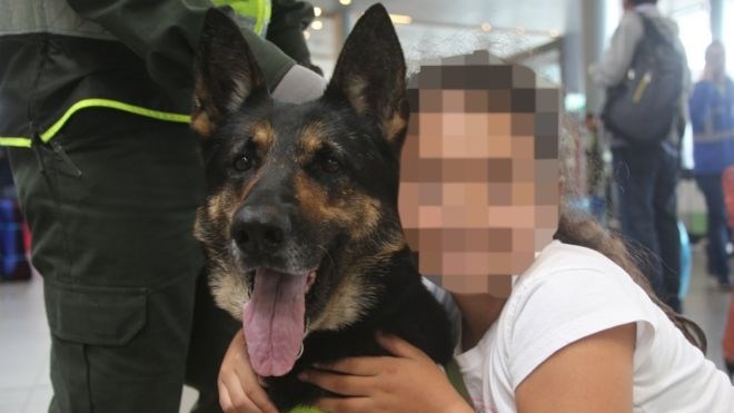 Kolumbijski kartel razpisal nagrado na glavo policijskega psa
