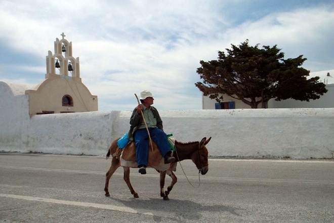 Zaradi  »debelih turistov«  na grškem otoku pohabljeni osli