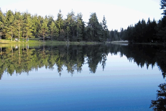 Zaradi slabih rezultatov analize kakovosti vode v jezeru Rakitna na Javnem komunalnem podjetju Brezovica kopalcem odsvetujejo...
