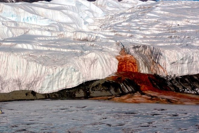 Razrešen misterij »krvavih slapov« na Antarktiki