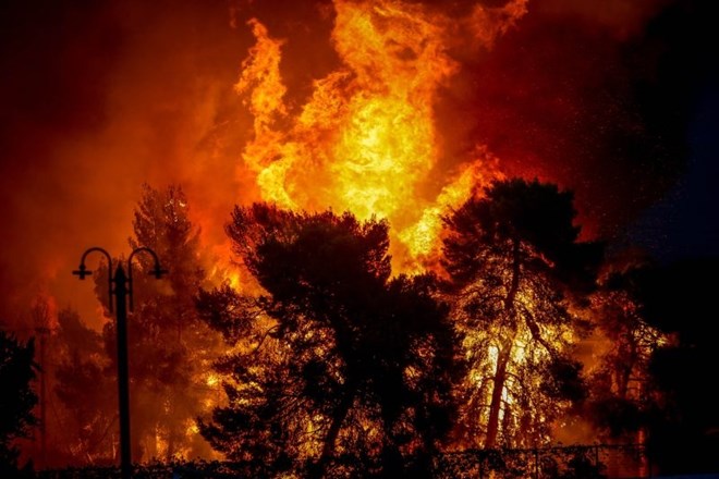 Požar v Grčiji: 96 mrtvih zaradi malomarnosti