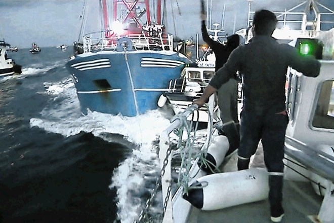 Francoski in britanski ribiči so se brez milosti zaletavali z ladjami v sporu o dostopu do okusnih školjk.
