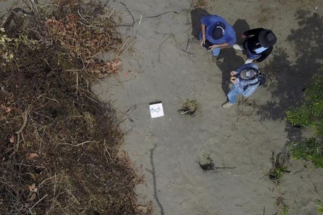 V Mehiki odkrili grobišče s 166 trupli