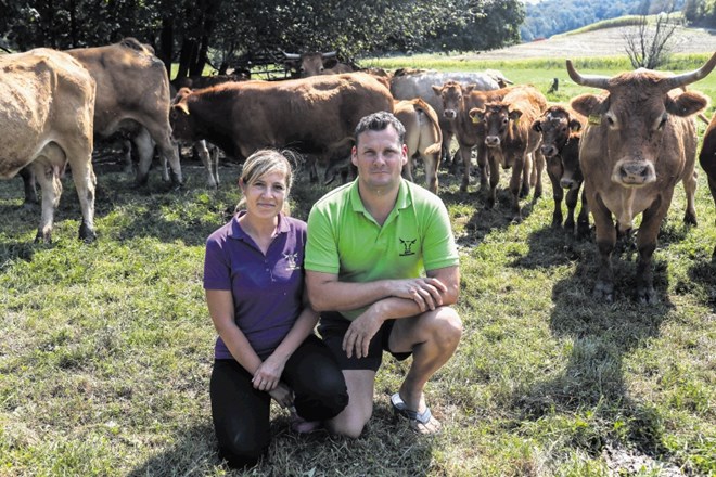 Matej Zadravec je družinsko kmetijo prevzel leta 2008, ob njej pa se na 30 hektarjih travnikov in pašnikov sprehajajo en...