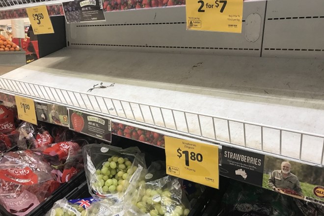 Police v avstralskih trgovinah, ki bi morale biti zapolnjene z jagodami, so prazne.