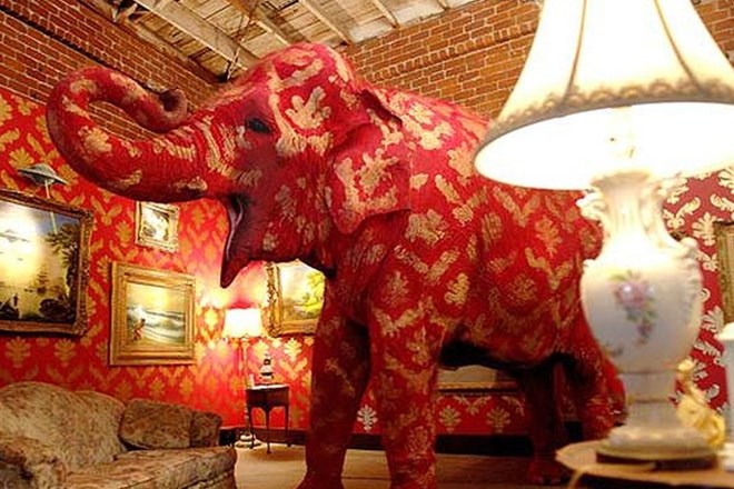 Slon v sobi