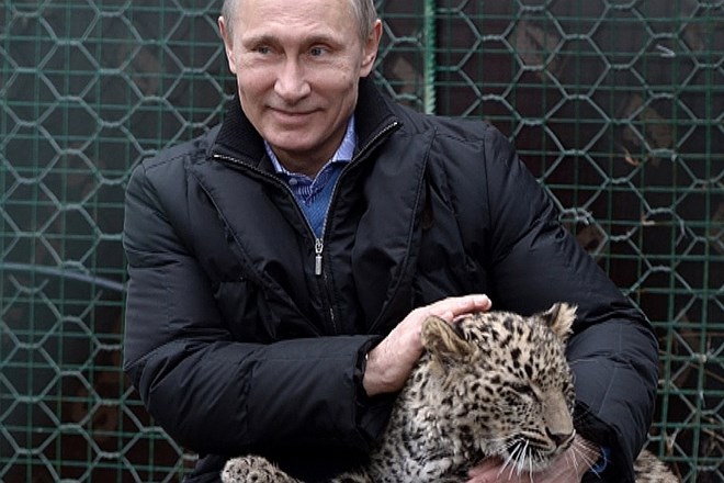 Vladimir Putin v (ruskih) medijih že leta gradi podobo nepremagljivega a hkrati tudi nežnega mača. Z leopardom se je...