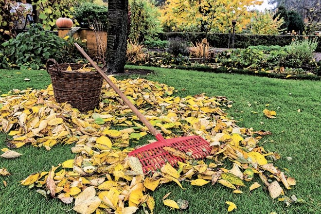 Priprave na hladnejšo polovico leta: oktobrska opravila na vrtu in trati