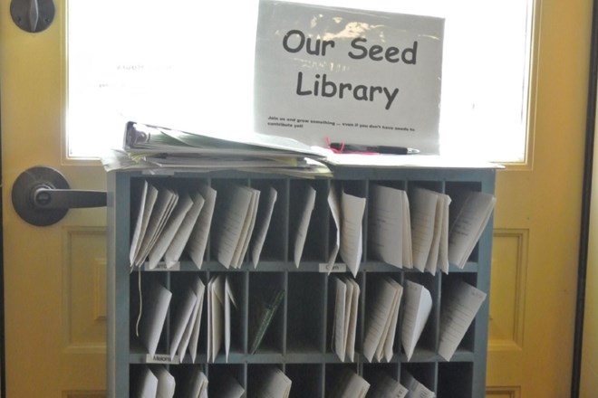 Knjižnice semen so zelo razširjene v ZDA, kmalu pa naj bi prvo dobili tudi pri nas.