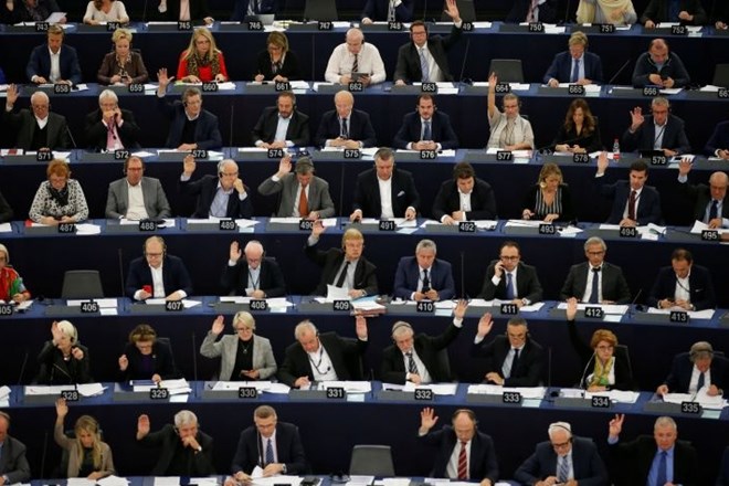 Evropski parlament poziva k prepovedi neofašističnih in neonacističnih skupin v EU