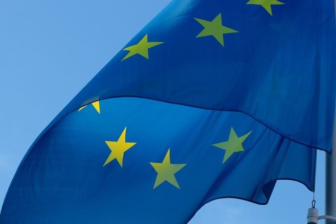 Slovenija ima med članicami EU najmanj vpliva na politiko unije