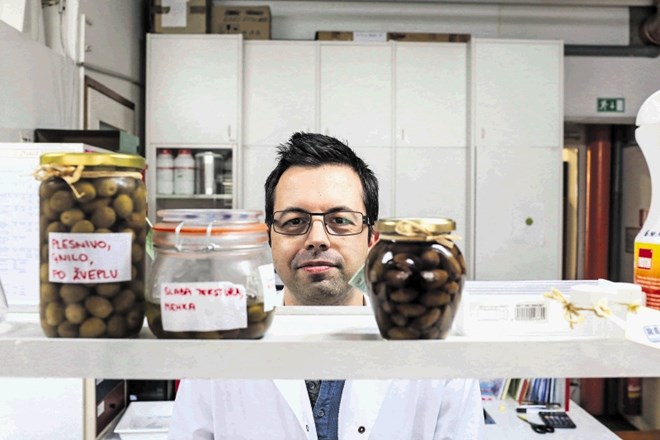 Vasilij Valenčič je svojo doktorsko disertacijo  posvetil razgrenjevanju oljk. Tega, da bi namizne oljke iz slovenske Istre...