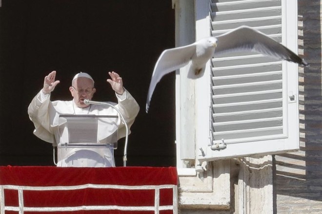 Papež: Politika ni samo za voditelje