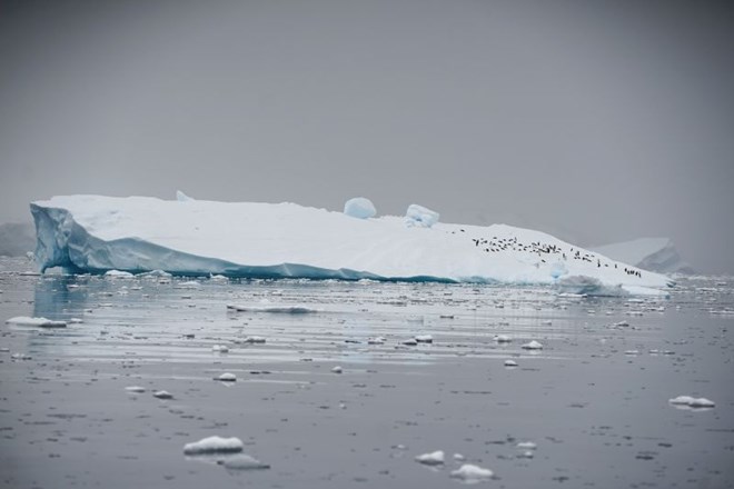  Antarktika izgublja šestkrat več ledu kot pred 40 leti