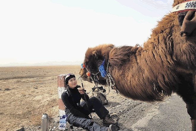 Mongolka Baigalmaa Norjmaa potuje od Ulan Batorja do Londona z devetimi velblodi.