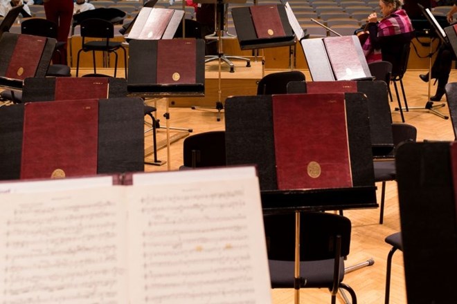 Kritika filharmoničnega koncerta baročne glasbe: Nastop razvnetega ansambla