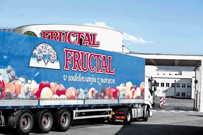Od leta 2011 do leta 2017 so se prihodki od prodaje na ravni cele skupine Fructal znižali za približno petino.