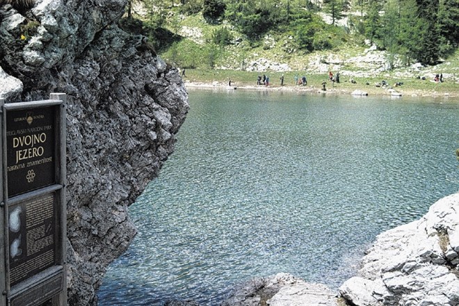Ribe v Dvojno jezero v Dolini Triglavskih jezer niso zašle po naravni poti.