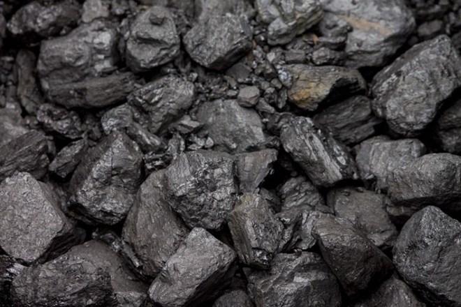 Znanstveniki iz CO2 naredili premog
