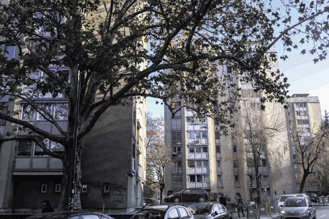 Med najbolj problematičnimi stavbami z vidika potresne varnosti so tudi stolpnice v Streliški ulici, gre za stanovanjske...