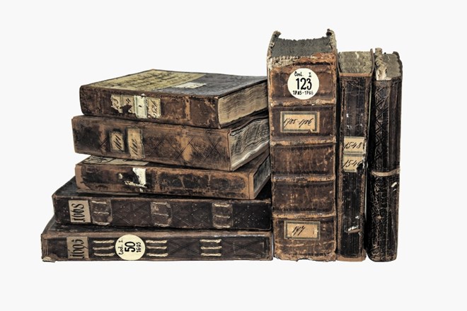 Zapisniki mestnega sveta od leta 1521 do 1786 so vezani v debele v  usnje vezane knjige.