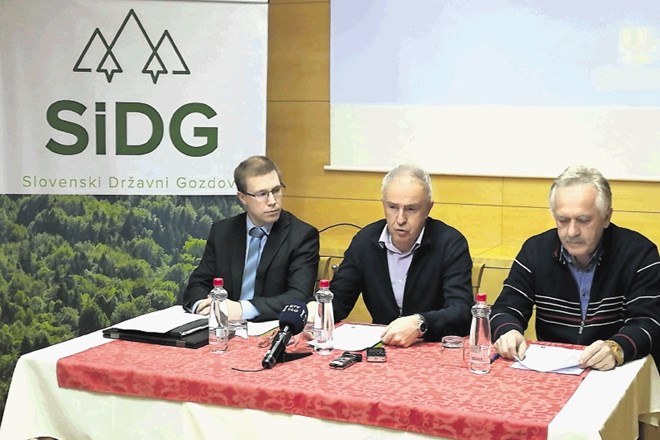 Miha Zupančič, vodja gozdarstva v družbi Slovenski državni gozdovi (prvi z leve, ob njem generalni direktor SiDG Zlatko...