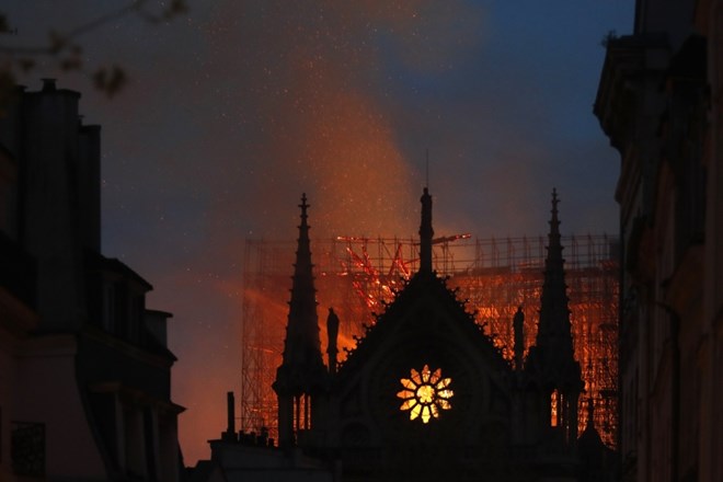 Okoli 200.000 čebel, ki domujejo v panjih na pariški katedrali Notre-Dame, je preživelo požar.