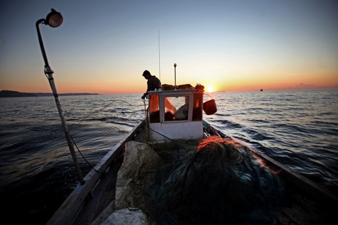 Koprsko sodišče zavrnilo pritožbe hrvaških ribičev 