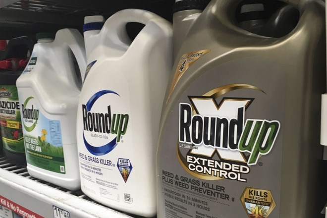 Herbicid Roundup je, po odločitvi sodišča, prispeval k nastanku raka.