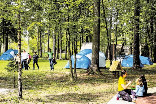Na območju Gozdne šole so prvi poletni tabor pripravili pred  80 leti.
