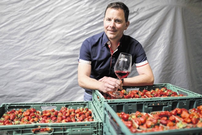 Igor Jarkovič pravi, da je težje prodati vino kot pa jagode ali čilijevo omako.