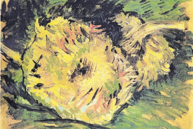 Vincent van Gogh: Sončnice, študija