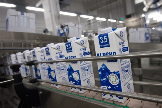 Ljubljanske mlekarne povečujejo odkup mleka, tudi ekološkega