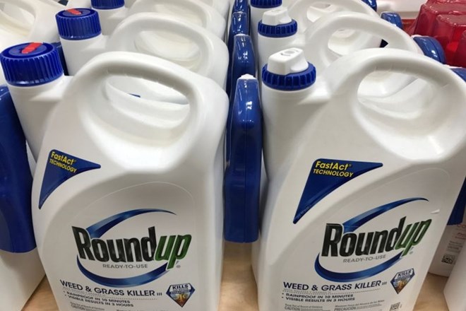 Višje sodišče je potrdilo, da obstajajo pomembni dokazi, da je Roundup pri paru res povzročil raka in da bi moral Monsanto...