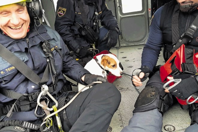 Psiček Majk je gorskim reševalcem pomagal pri demonstraciji helikopterske reševalne akcije.