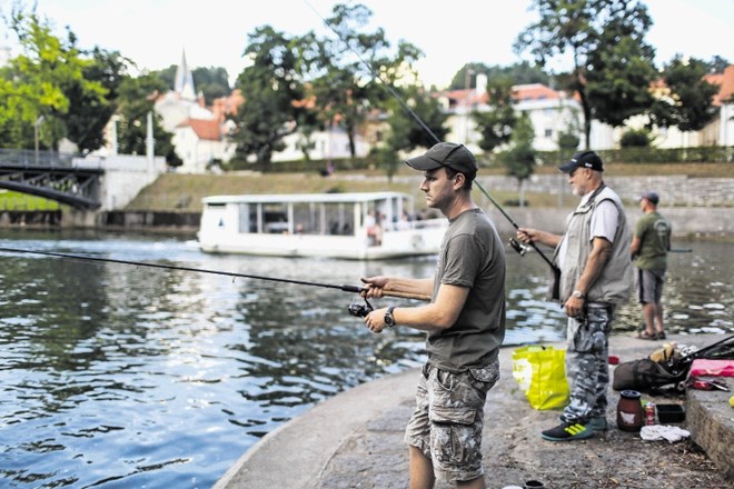 Medtem ko ladjice vozijo po Ljubljanici, ribiči poskušajo s srečo na bregu reke.