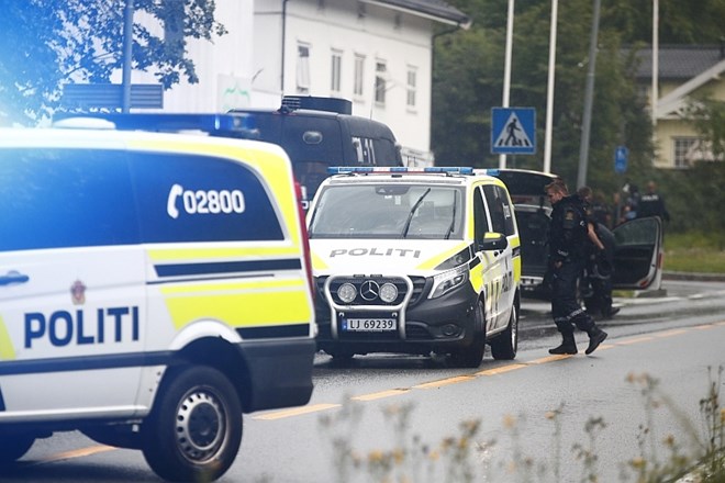 Ker se je napad zgodil na predvečer muslimanskega praznika kurban bajram, so norveške oblasti v mestih preventivno povečale...