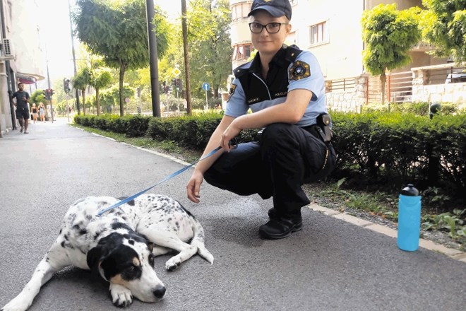 Policisti poskrbeli za psičko