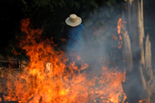 Zaradi krčenja amazonskega pragozda v Braziliji več požarov
