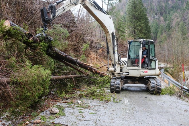 Po vsej Sloveniji so iz zalitih objektov črpali vodo, prekrivali strehe in odstranjevali podrta drevesa.