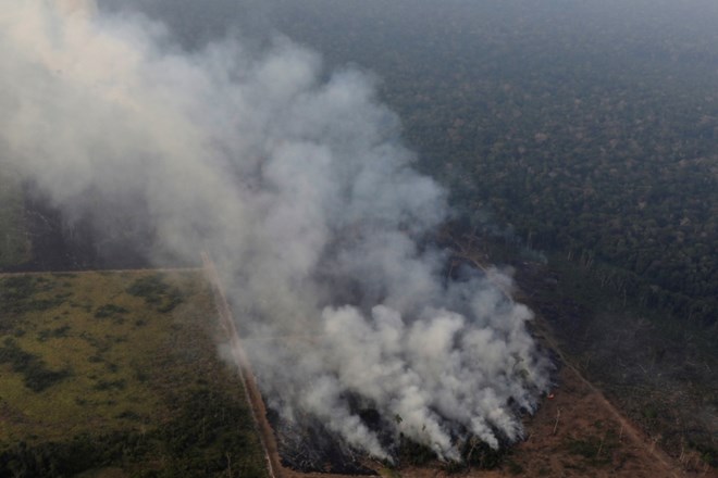 Požar v Amazoniji.